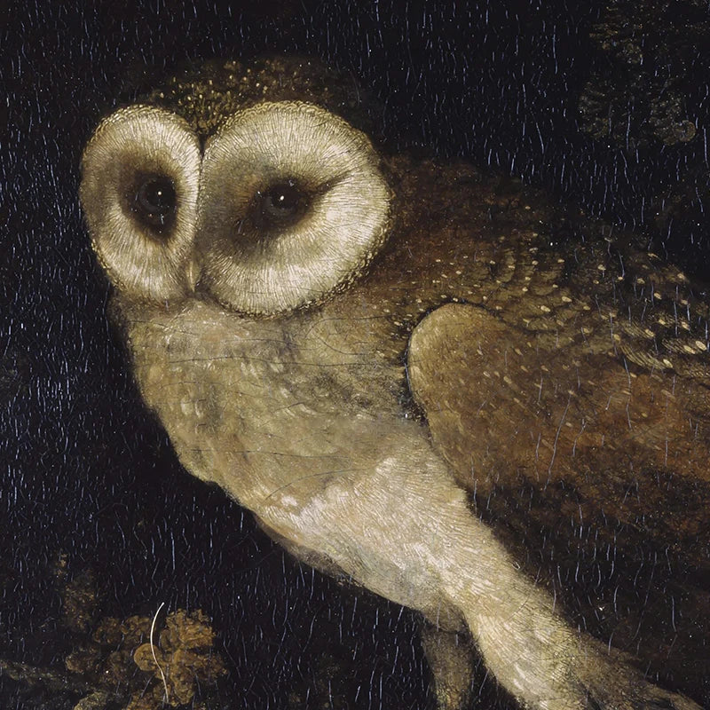 Vintage Moody Owl Painting Canvas Wall Decor.