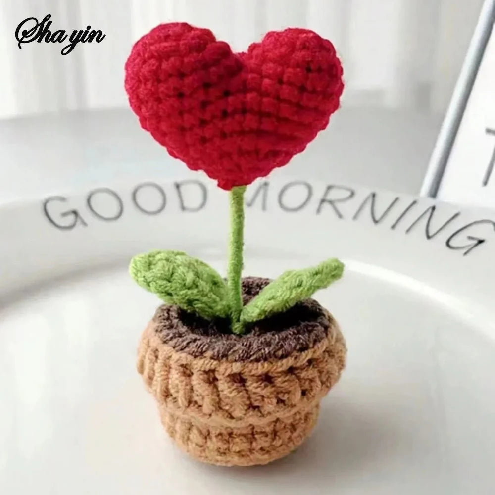 Finished Small Potted Hook Woven Plant Decoration