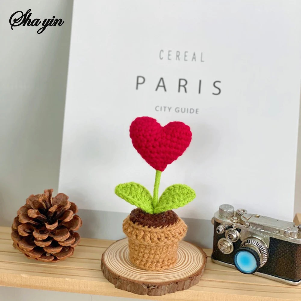 Finished Small Potted Hook Woven Plant Decoration