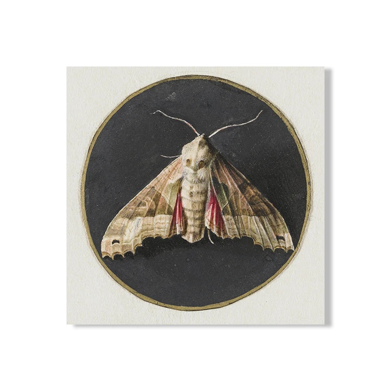 Vintage Moody Owl Painting Canvas Wall Decor.