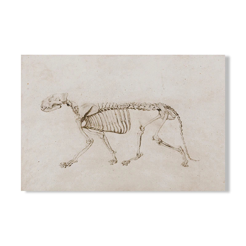 Vintage Moody Owl Painting Canvas Wall Decor.