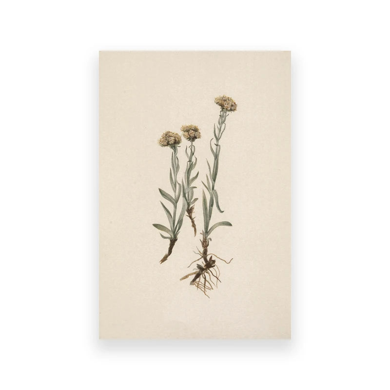 Vintage Moody Owl Painting Canvas Wall Decor.