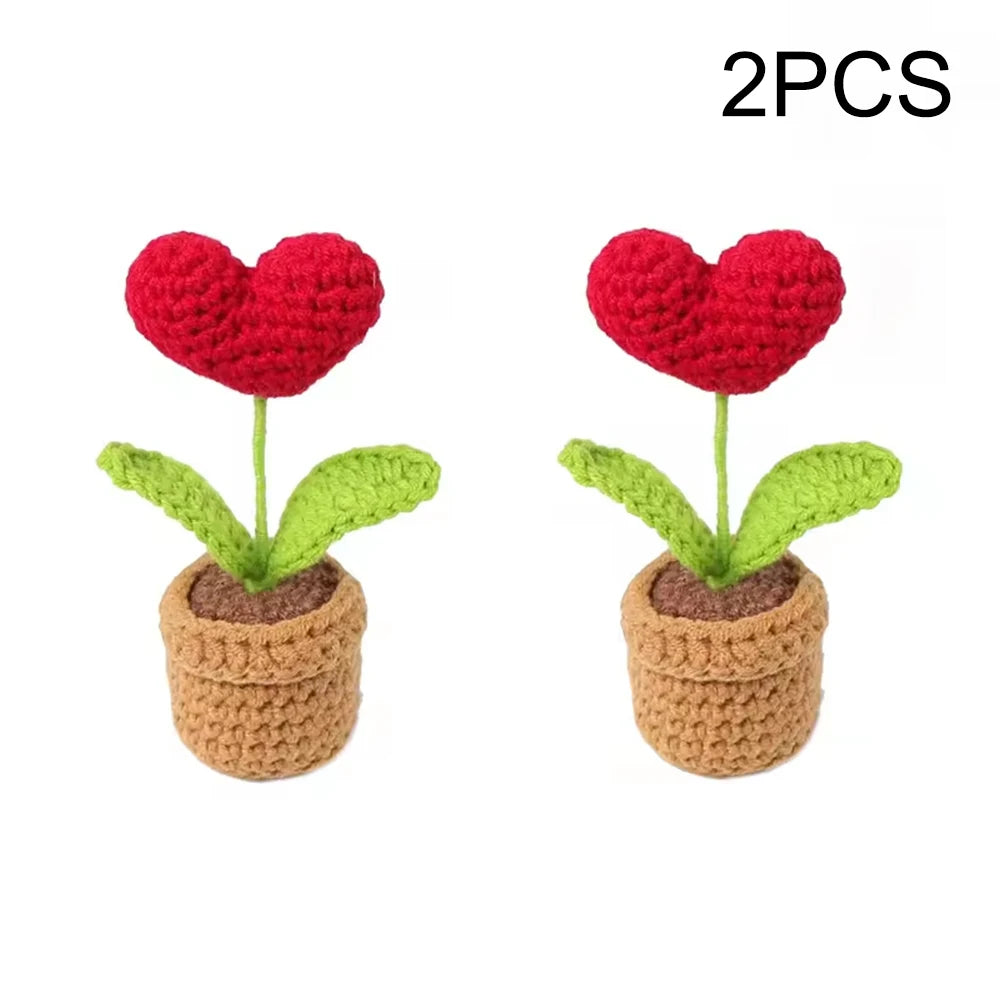 Finished Small Potted Hook Woven Plant Decoration